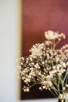 DSCF6638