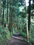 DaronsDaronnes.com_travelwithkids_Azores_SaoMiguel_hike_040