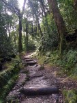 DaronsDaronnes.com_travelwithkids_Azores_SaoMiguel_hike_055